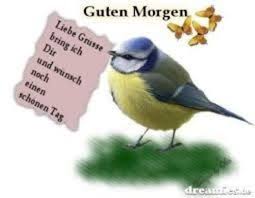 Wenn ich morgens aufwache und die träume der guten morgen sonnenschein, ich wünsche mir: Guten Morgen Bilder Fur Whatsapp Kostenlos 392 Gbpicsbilder Com