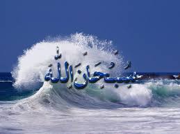 Che Mohd Farid Ismail