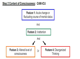 Image result for CAM-ICU