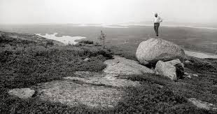 Image result for Norman Gray 1953 Cadillac