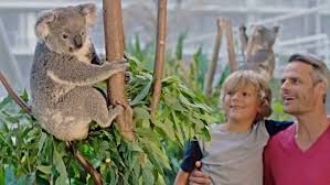 Our animals have been hand raised and are selected for their kind and willing temperaments. Best Animal Activities Petting Zoos And Places To Pat Animals For Ellaslist