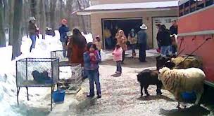 Or, follow them on facebook to get the latest news and to find out about upcoming events. Philadelphia Traveling Petting Zoos For Birthday Parties