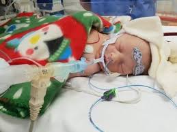 Matt hancock warns companies after death of molly russell, whose social media contained social media companies are facing renewed demands from the government to protect children from harmful. Health Secretary Matt Hancock I Would Donate My Kids Organs To Save Lives Mirror Online