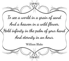 To See A World In A Grain Of Sand And A Heaven In A Wild Flower Hold Infinity In The Palm Of Your Hand And E Flower Quotes Dream Word Words