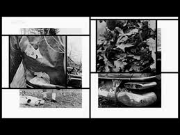 Wenn sie den bildern selbst den vortritt lassen wollen, verwenden sie. Die Inszenierte Fotografie Arte Dokumentation Hapa Blog