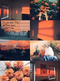I have compiled a list of the best phone wallpapers from all over the web. Orange Aesthetic Wallpaper Nawpic