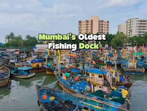 ⛵️Sassoon Dock 🦐 . Sassoon Docks, built in 1875, is one of the oldest docks in Mumbai and was the first wet dock constructed in Bombay.It is one of the few docks