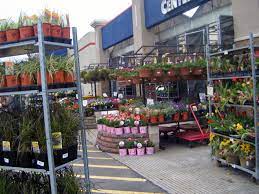 Costco, if it's ever remodeled should include a garden center, dog / cat center, and a marijuana dispensary. Where Should You Buy Your Plants The Watershed Company