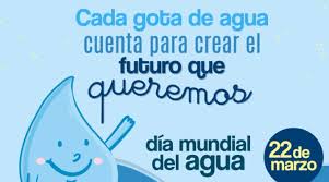Dos centavos de dólar (14.34 pesos chilenos) por cada litro de agua. Festejo Del Dia Mundial Del Agua Siapasan