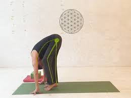 Help your spine decompress by stretching it daily. 8 Yoga Ubungen Gegen Verkurzte Muskeln In Den Beinen Hamstrings