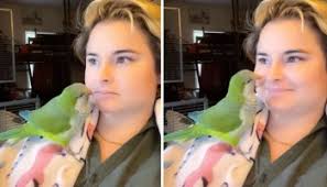 Silly Parrot Laughs Along With Its Human Friends