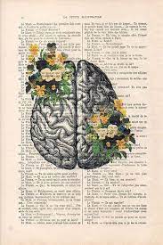 Anatomy Brain Flower Anatomy Print Human Anatomy Art Science Etsy Human Anatomy Art Anatomy Art Brain Art