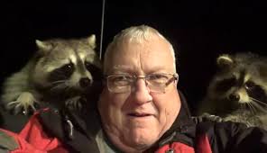 Genus procyon, family procyonidae (the raccoon family): The Editor S Desk The Raccoon Whisperer Ashcroft Cache Creek Journal