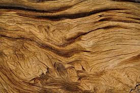 Maybe you would like to learn more about one of these? Bois Texture 887696 Banque De Photos