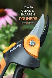 Check spelling or type a new query. How To Care For Pruners Garden Therapy