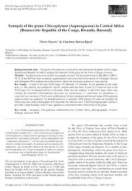 Image result for Chlorophytum nubicum