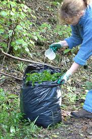 Finde die besten angebote für deine auszeit in der türkei! Disposing Of Weed Waste Weedbusters