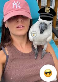 Watching NCIS Hawaii and look everybody they've got Coombs with them…