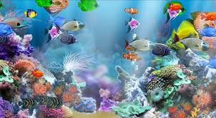 Fish Tank Background Printable 50 Best Aquarium Backgrounds Aquarium Live Wallpaper Aquarium Backgrounds Live Wallpapers
