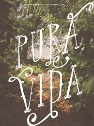 Pura Vida Pura Vida Costa Rica Words