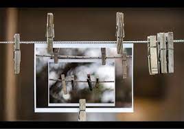 Still Life Photography Life Photography Still Life Artists