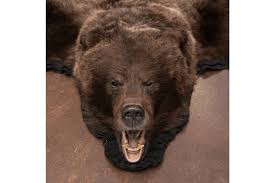 Alibaba.com offers 2,535 bear rugs products. Grizzly Bear Skin Rugs Furcanada
