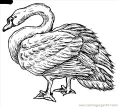 Get hold of these coloring sheets that are full of pictures and involve your kid in painting them. Swan18 Coloring Page For Kids Free Swan Printable Coloring Pages Online For Kids Coloringpages101 Com Coloring Pages For Kids