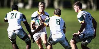 Van der merwe was born and raised in south. Van Der Merwe Scoops Top Guinness Pro14 Prize Sa Rugby