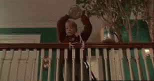 The best gifs are on giphy. Can Someone Tell Some Good Quotes From The Movie Home Alone 2 Except From Kevin And The Pigeon Lady Quora