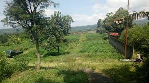 Shm lb / lt (m2) : Tanah Kebun Dan Ternak Di Dau Malang Dau Malang Jawa Timur Tanah Dijual Oleh Gresia Dewi Rp 3 7 M 16469342