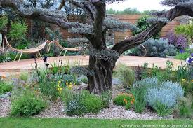 Epingle Sur Jardins