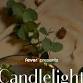Candlelight: Holiday Special Featuring “The Nutcracker” & More