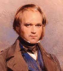 FROM SMELLS TO SIGNALS