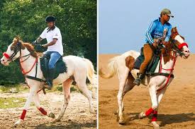 Here S Where You Can Learn Horse Riding In Mumbai Lbb Mumbai The instructors, gudrun armanski and carol reynolds, had been teaching horseback riding through the.
