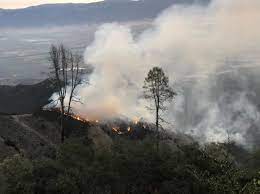 Fire officer is open to all junior officers, company officers, or those who have served in an intermittent acting status for 12 months, and below is the current list of designees.in addition to the officer's first and last name, you will find the organization they work for, and the city and state/province, they are from. River Fire Is Fully Contained Kion546