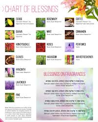 The 5 Blessings On Fragrances Mk Kosher