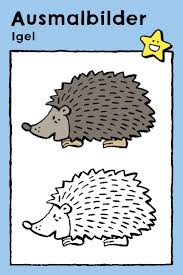 Igel Kiddimalseite In 2020 Igel Ausmalbild Malvorlagen Tiere Igel