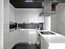 ideal kitchen cabinet material