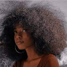 Pin By Jada On Lit Black Lives Matter Poofy Hair Natural Hair Styles Hair Inspiration