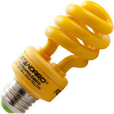 They Re Back Bugs That Is From Topbulb