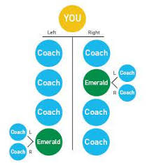 You don't need to do any tough job for becoming a beachbody coach. How To Become A Diamond Beachbody Coach In 90 Days