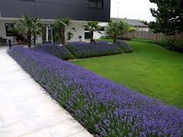 Atrium In Rot Und Violett Garten Landschaftsbau Gartenpflege Garten