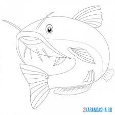 Catfish coloring pages are a fun way for kids of all ages to develop creativity, focus, motor skills and color recognition. Coloring Page Fish Big Catfish With A Mustache Print