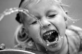 Bloom SpecServices_Sprg07_1-4