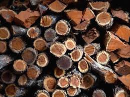 Maybe you would like to learn more about one of these? 12 Best Smelling Firewoods Campfires Or Fireplaces Rvblogger