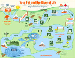 River Of Life Fergus Veterinary Hospital Veterinary Hospital Life River