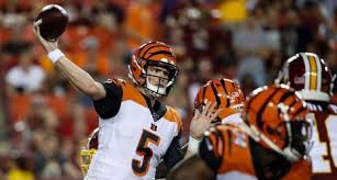 rookie qb ryan finley rides growing confidence up bengals