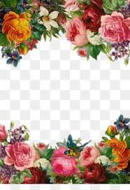Flowers Png Flowers Transparent Clipart Free Download Wedding Invitation Watercolor Painting Fl Flower Border Png Free Watercolor Flowers Flower Png Images