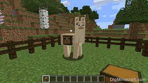 Use your 44 inventiry slots to hold as much as you can, then move it. How To Put A Chest On A Llama In Minecraft