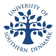 Hamburger french fries fast food onion ring fried chicken, hd fries, potato fries, food, cooking png. University Of Southern Denmark Logo Png Transparent Brands Logos
